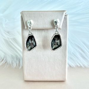 Dangle & Drop Smoky Grey Resin Crystal Silver Earrings